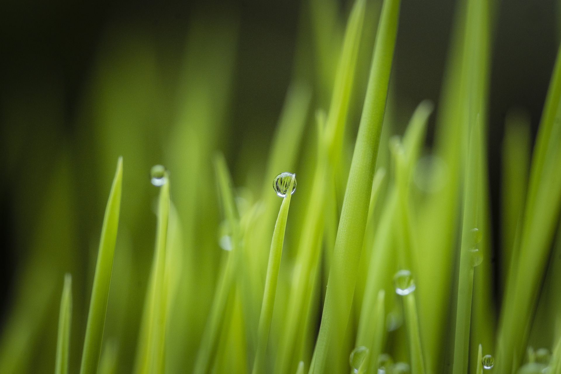 GreenLab1