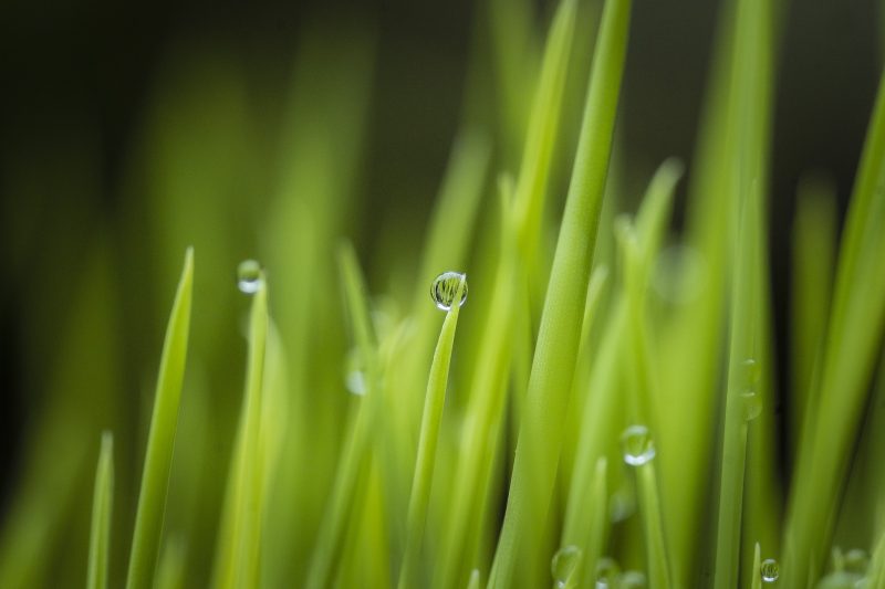 GreenLab1