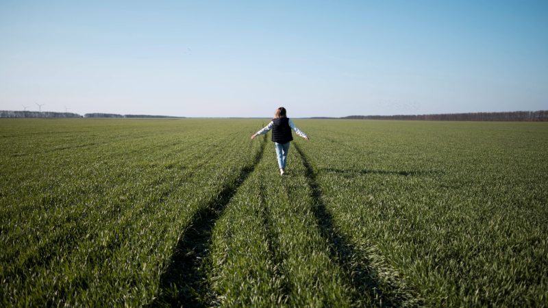 long-shot-young-girl-field
